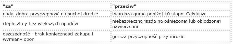 Letnie opony w zimę - czy ma to sens? 2
